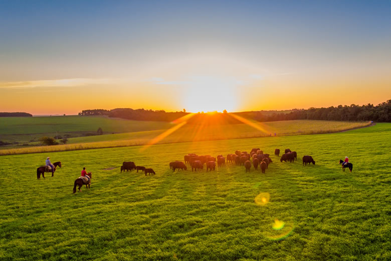 World Angus Secretariat 2027